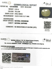 8.33/CT Natural Yellow Sapphire With Govt Lab Certificate-12313D49908